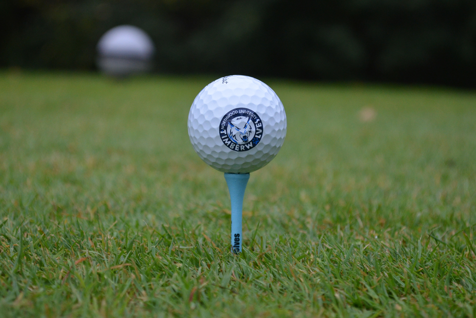 Golf Teams Earn Academic Honors