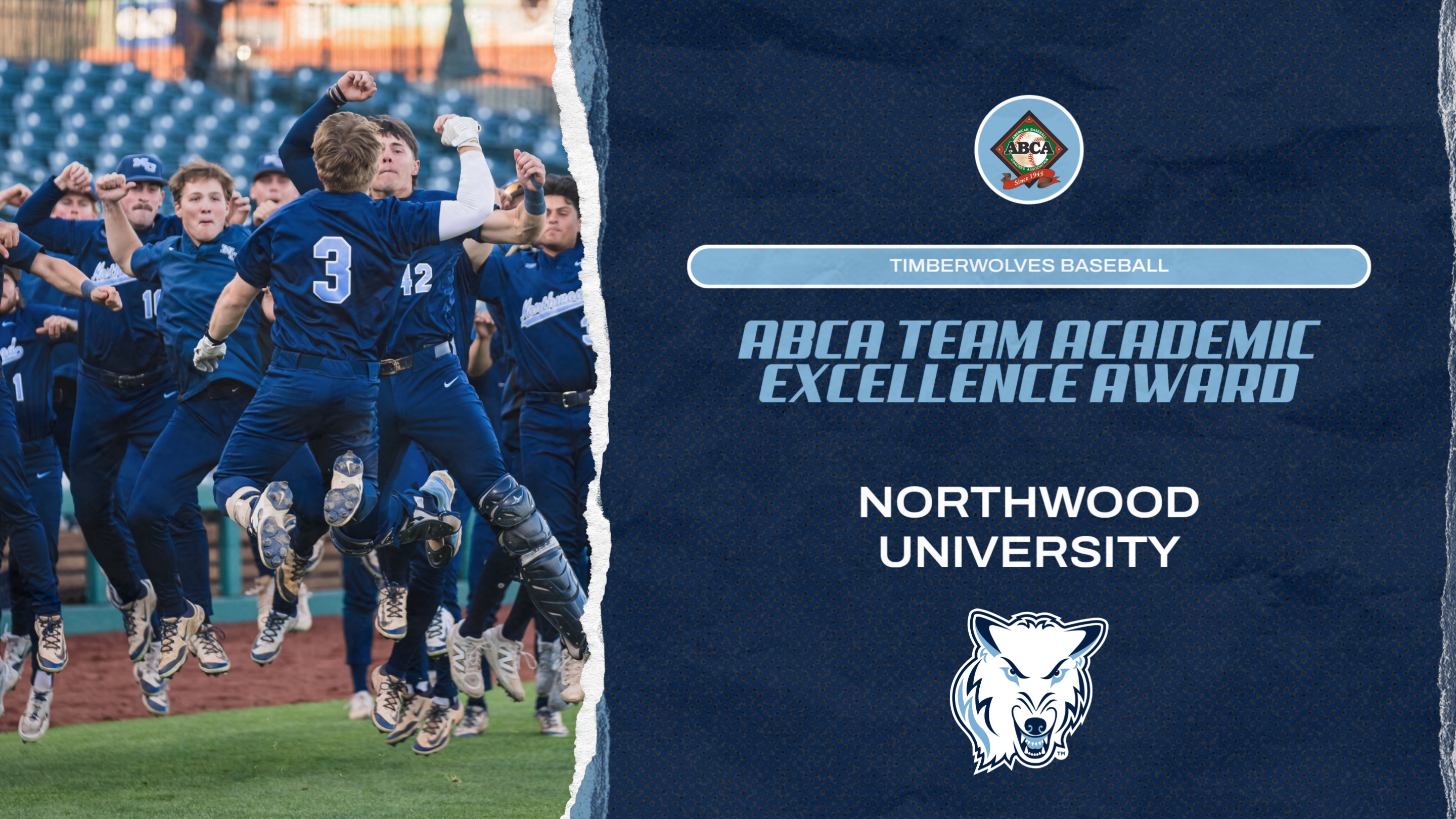 Baseball Earns ABCA Team Academic Excellence Award