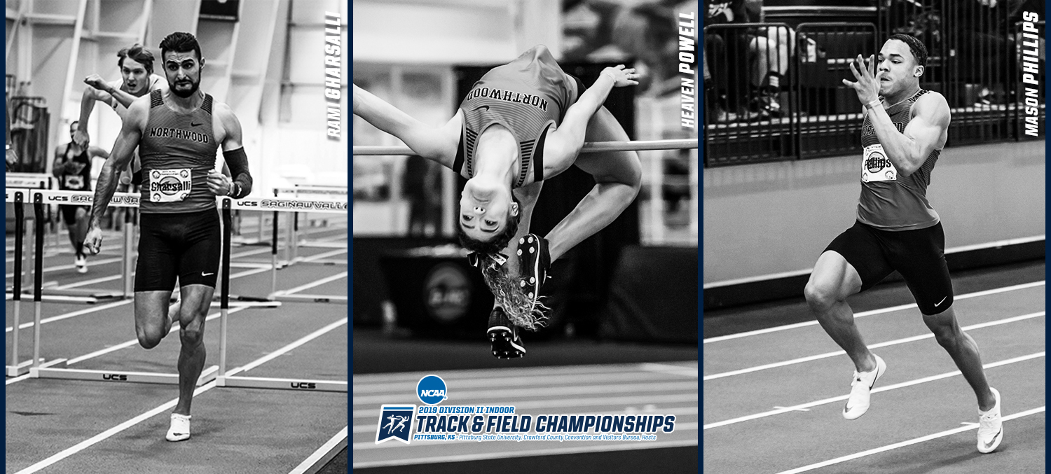 NCAA PREVIEW: Three Timberwolves Ready to Pursue All-America Honors At Indoor Championships