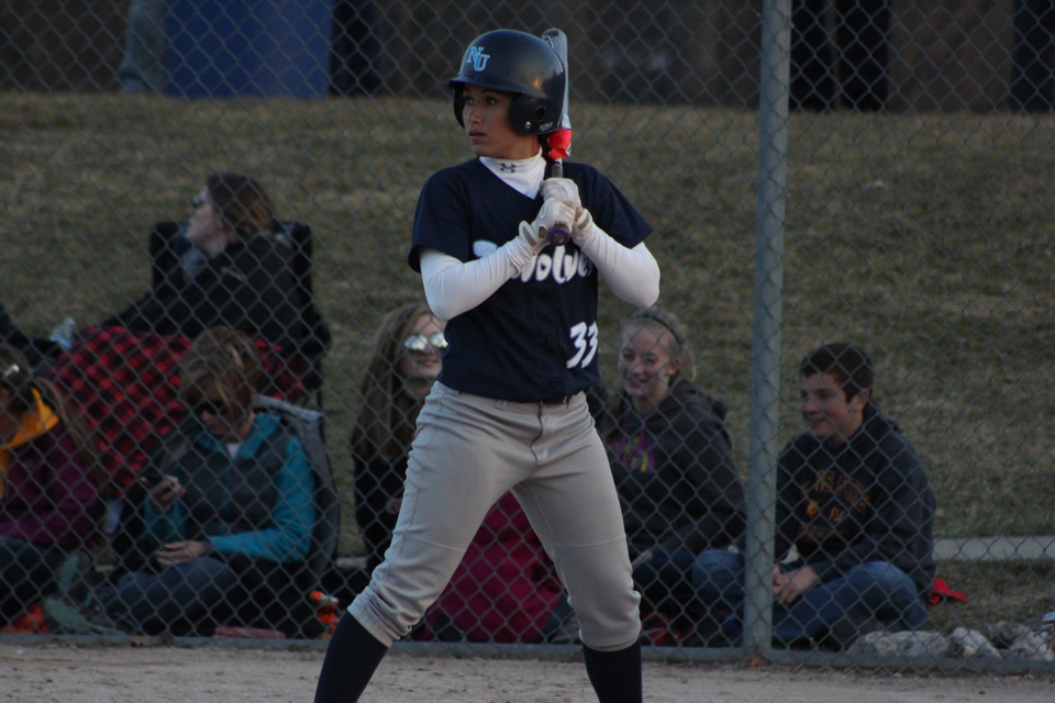 Softball Drops Pair In Florida