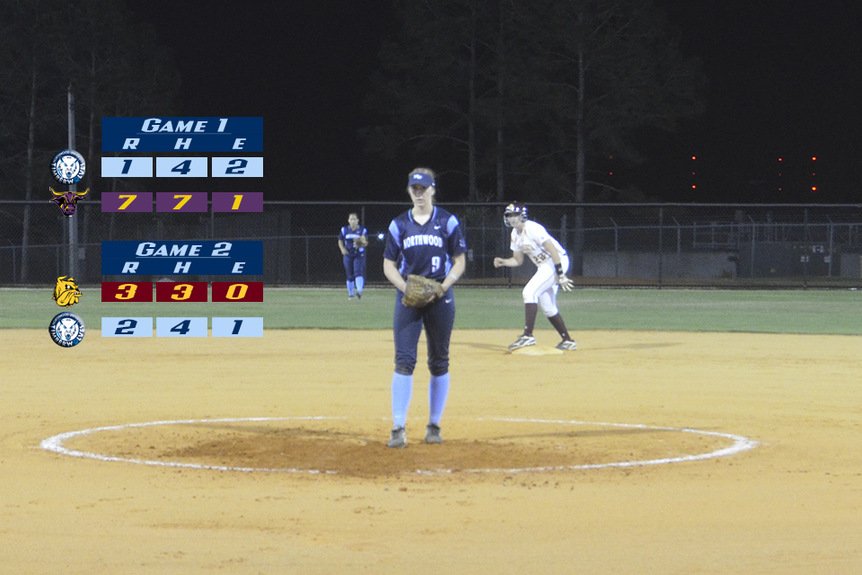Softball Drops Pair of Hard Fought Contests