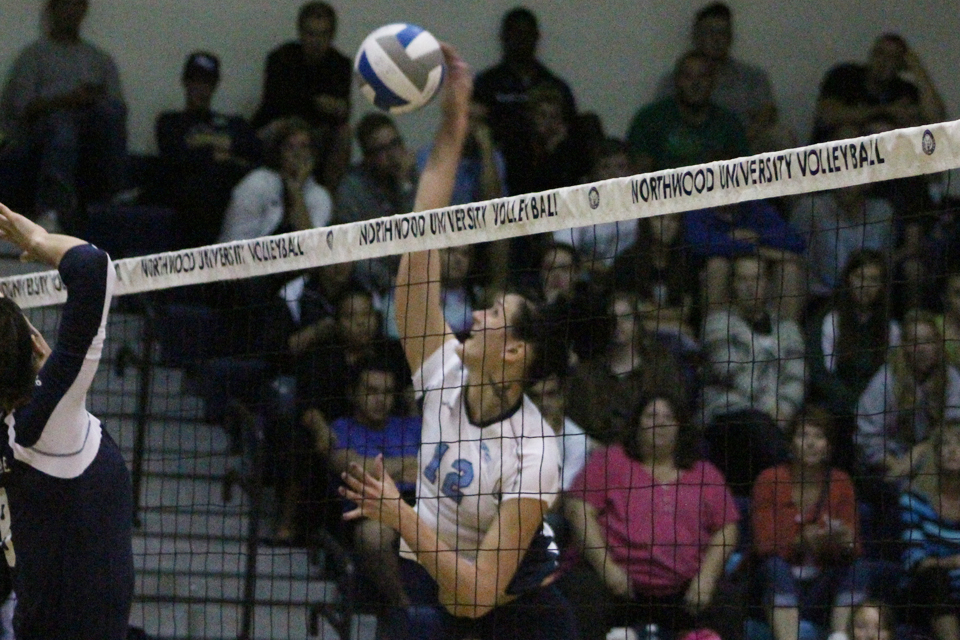 Volleyball Places Three On All-GLIAC Teams