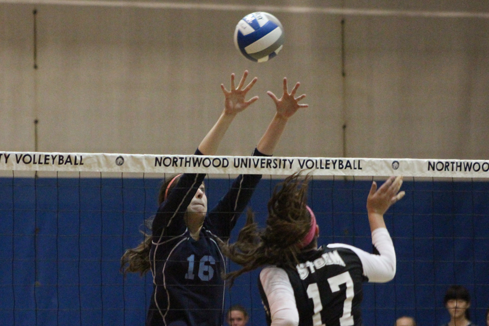 Volleyball Claims 3-0 Win Over Lake Erie