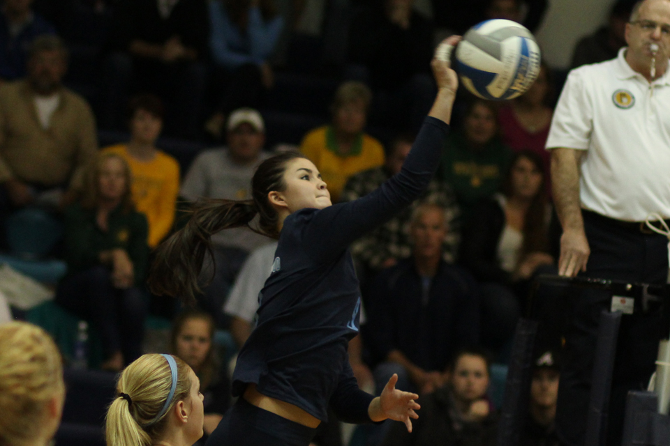 Volleyball Drops 3-0 Match At Hillsdale