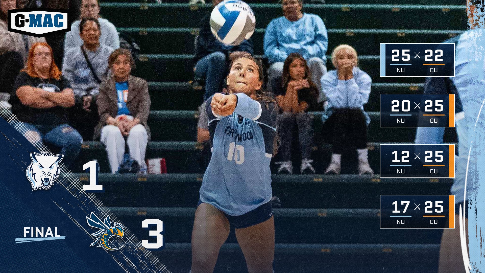 Volleyball Loses To Cedarville 3-1